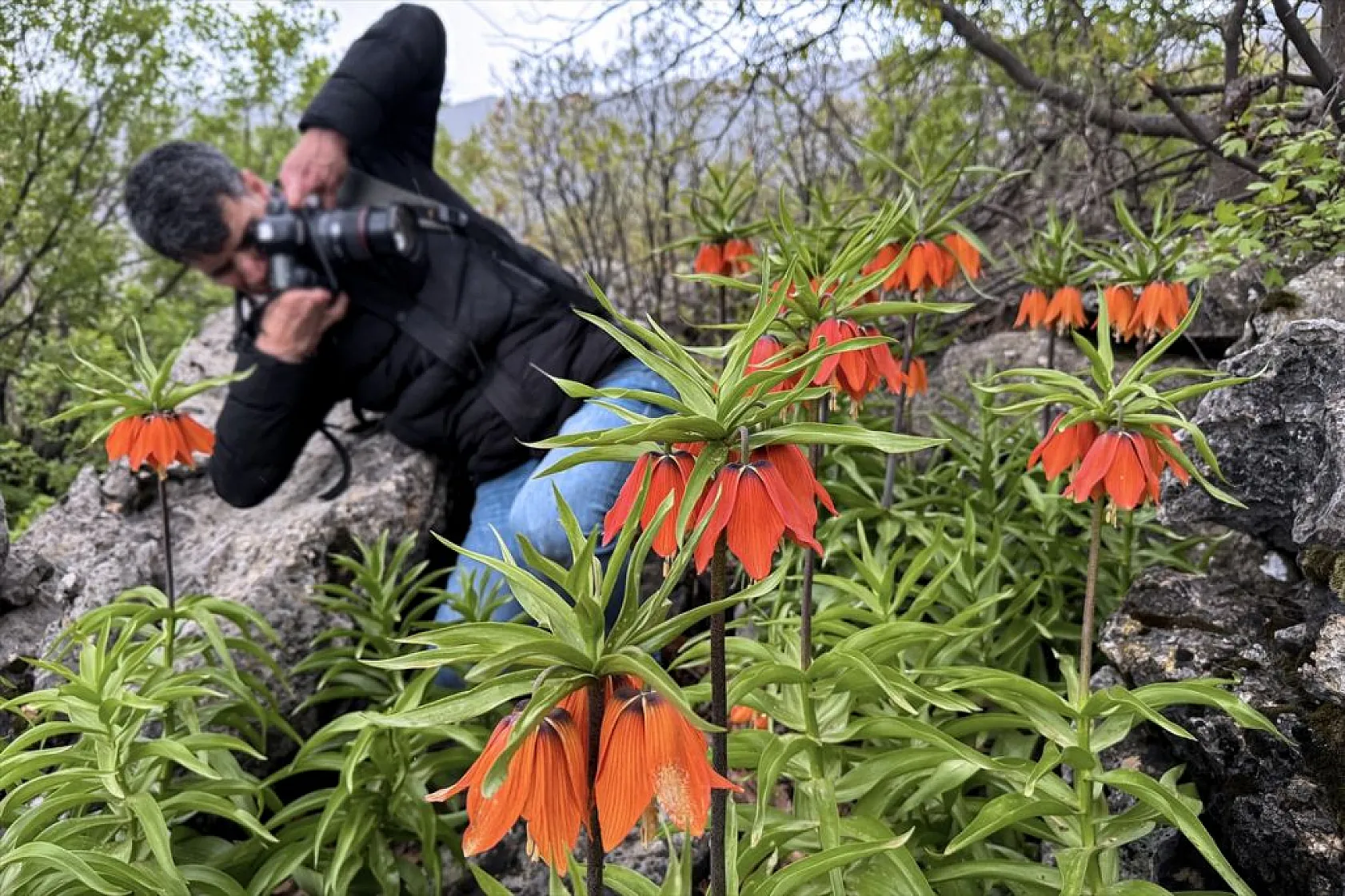'Ağlayan gelin' için zirveye tırmanış