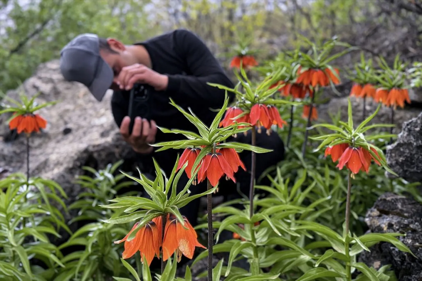 'Ağlayan gelin' için zirveye tırmanış