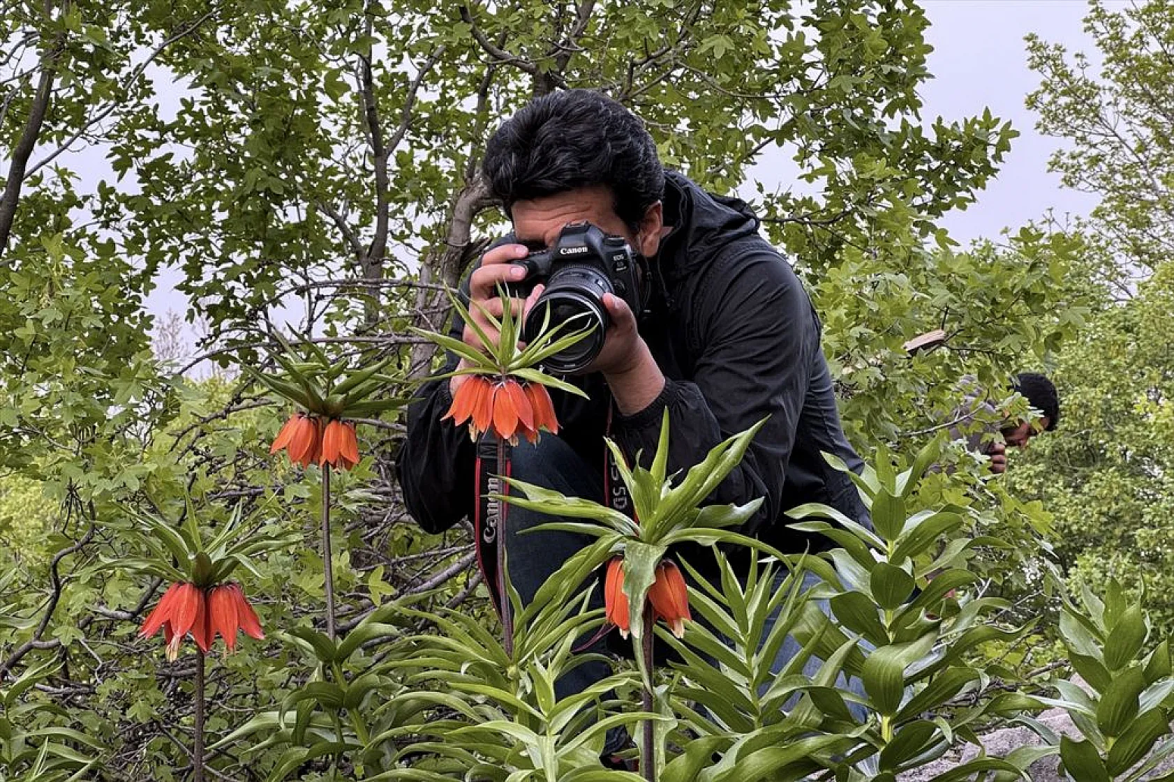 'Ağlayan gelin' için zirveye tırmanış