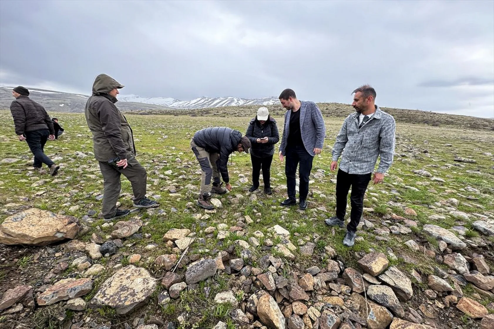 Karakoçan Lalesi'ne bilimsel inceleme