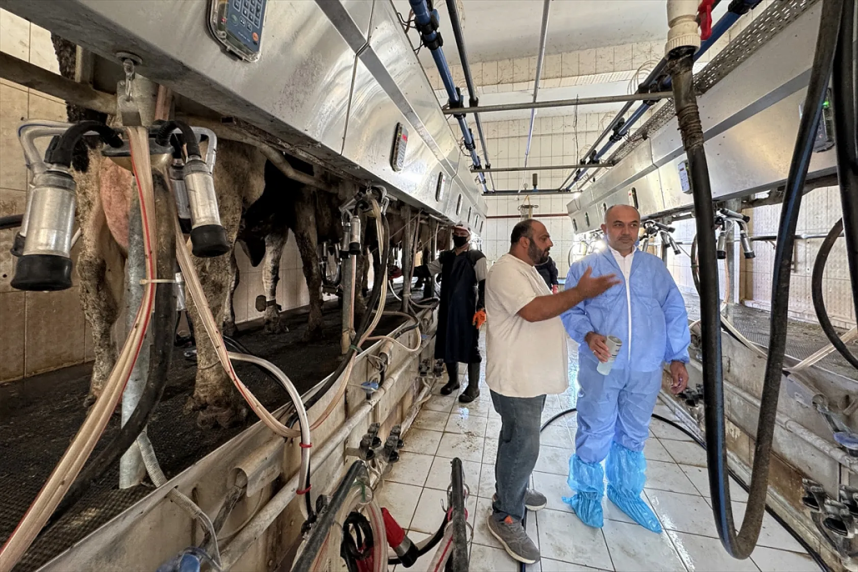 Elazığ'dan hayvancılıkta çığır açan buluş