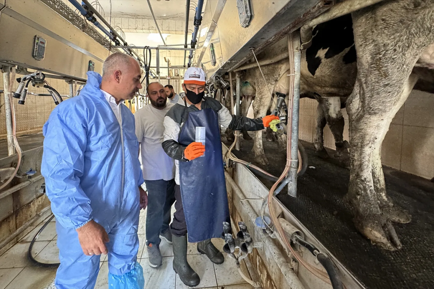 Elazığ'dan hayvancılıkta çığır açan buluş
