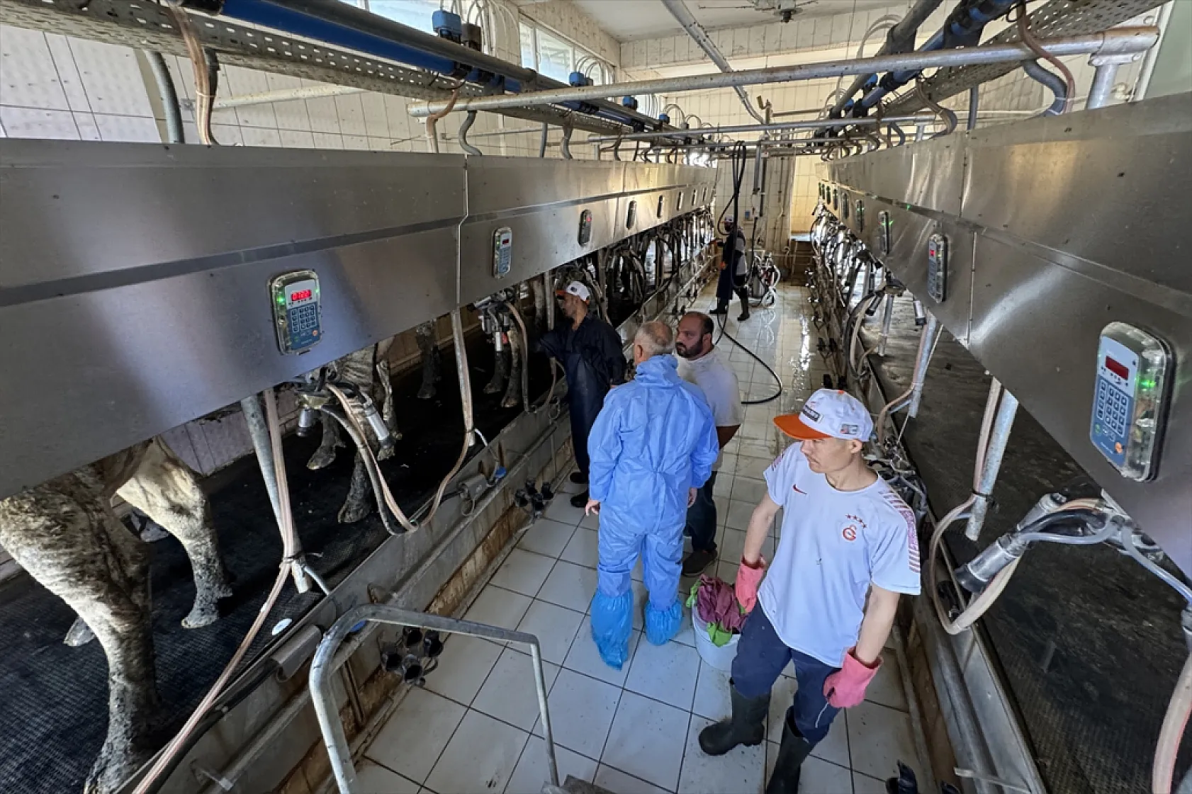 Elazığ'dan hayvancılıkta çığır açan buluş