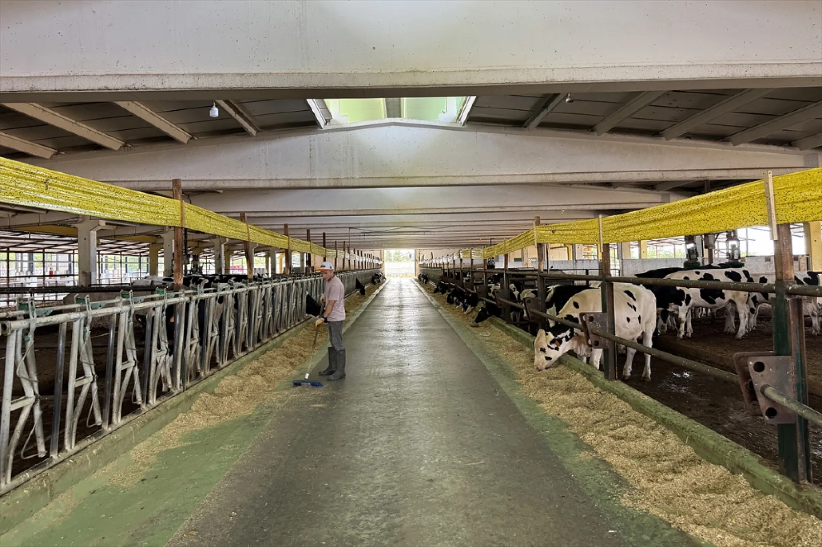 Elazığ'dan hayvancılıkta çığır açan buluş