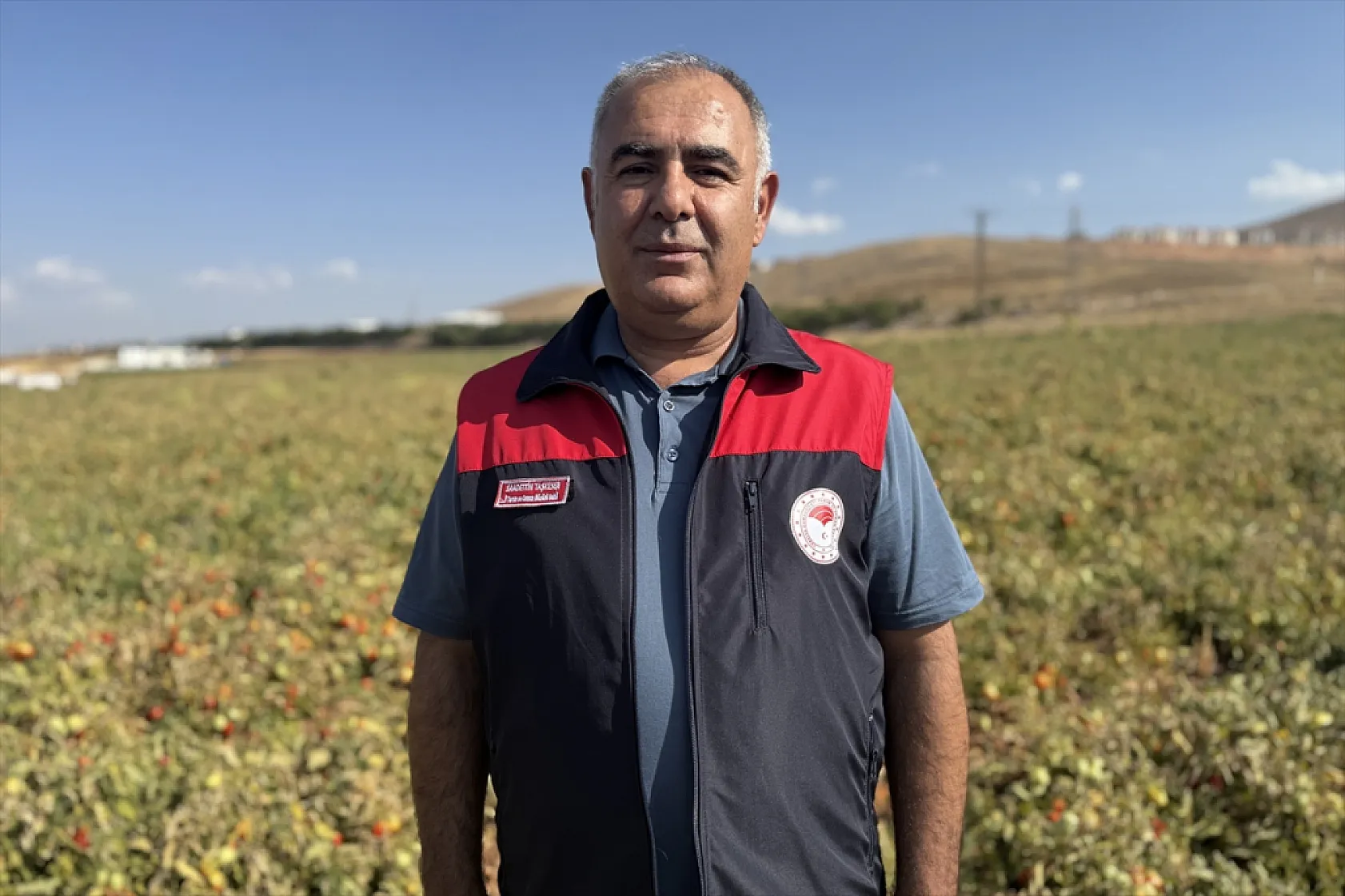 Elazığ'ın kurutulmuş domatesi dünya sofralarında