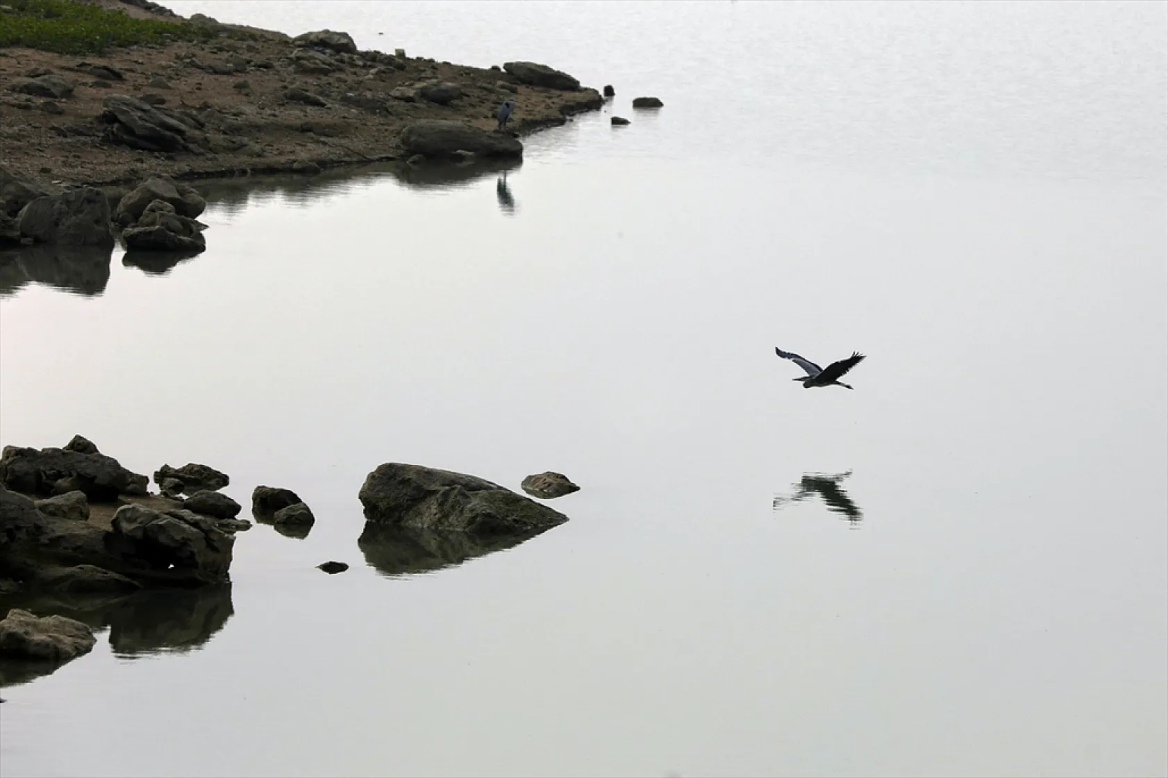 Cip Baraj Gölü binlerce göçmen kuşu ağırlıyor