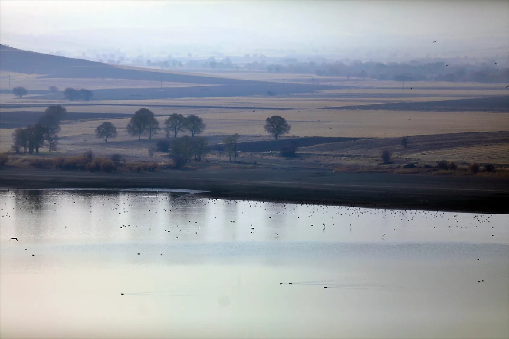 Cip Baraj Gölü binlerce göçmen kuşu ağırlıyor