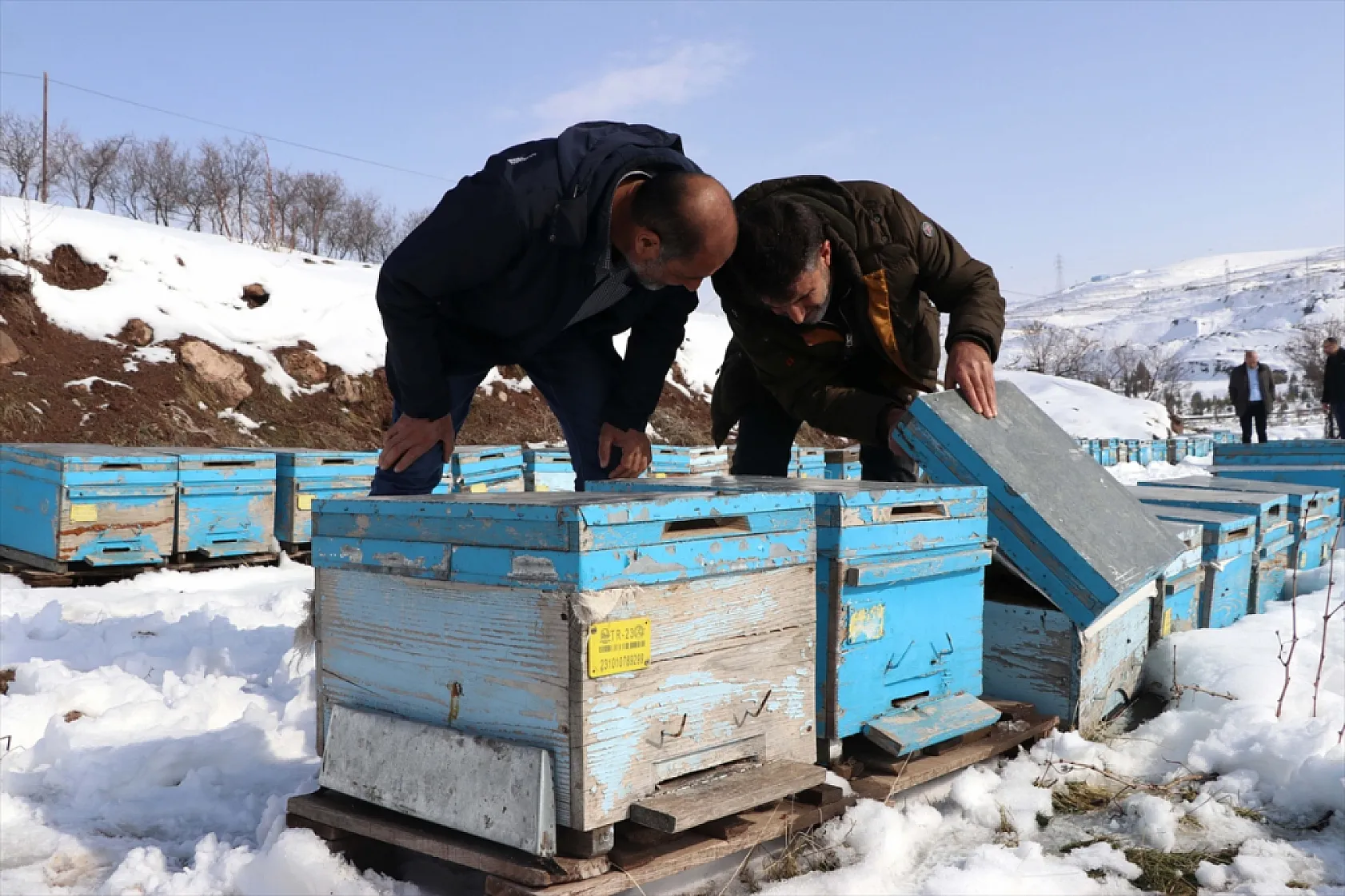 Elazığ'da arıcı ve besiciler devlet desteğiyle nefes aldı