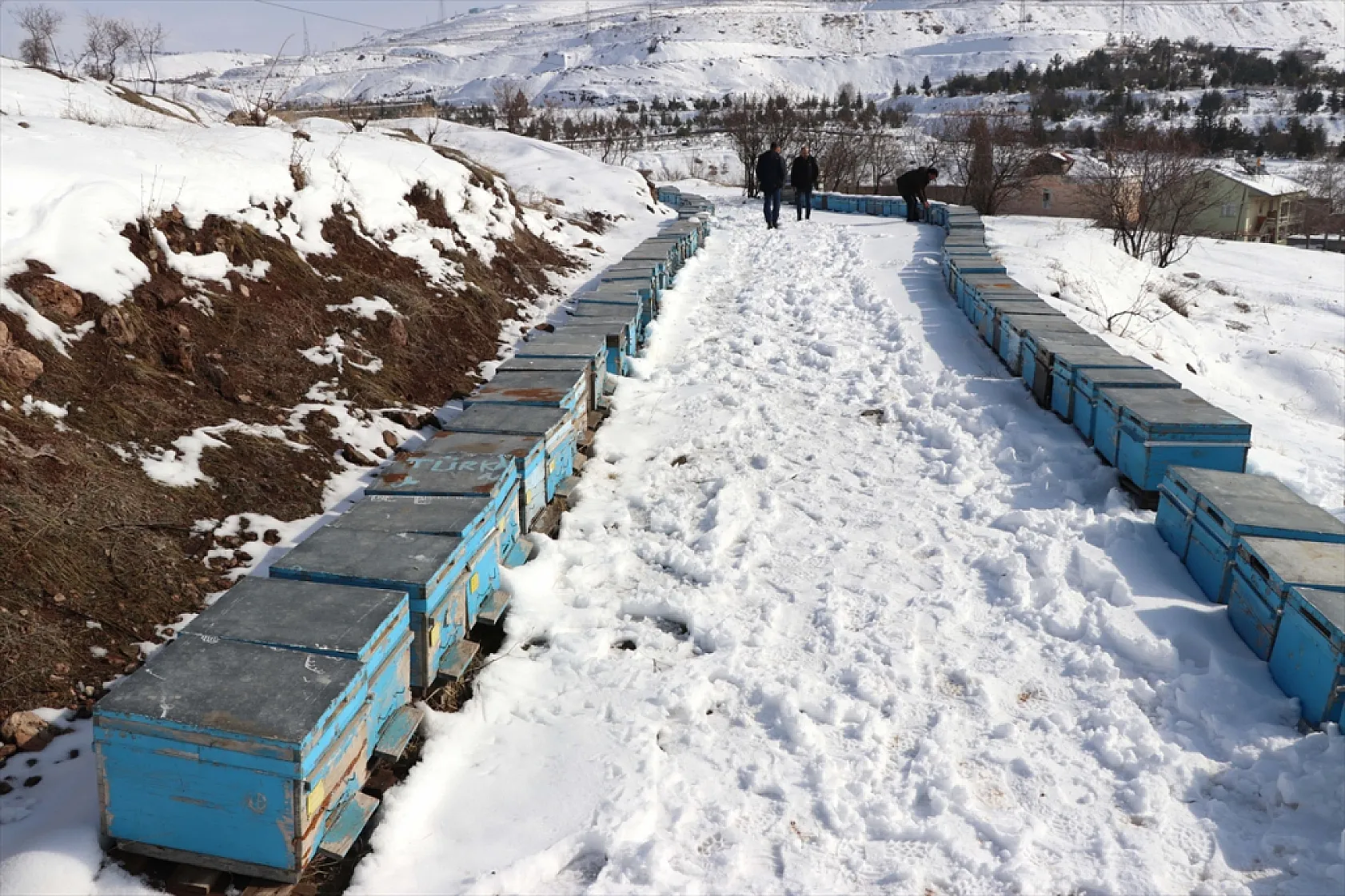 Elazığ'da arıcı ve besiciler devlet desteğiyle nefes aldı