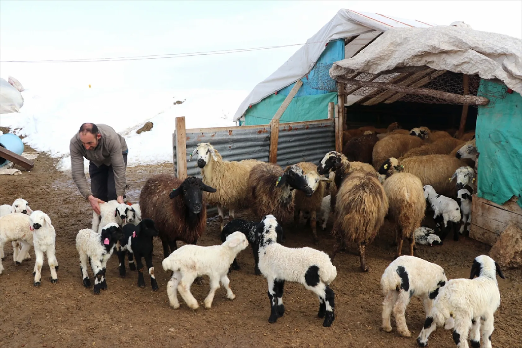 Elazığ'da arıcı ve besiciler devlet desteğiyle nefes aldı