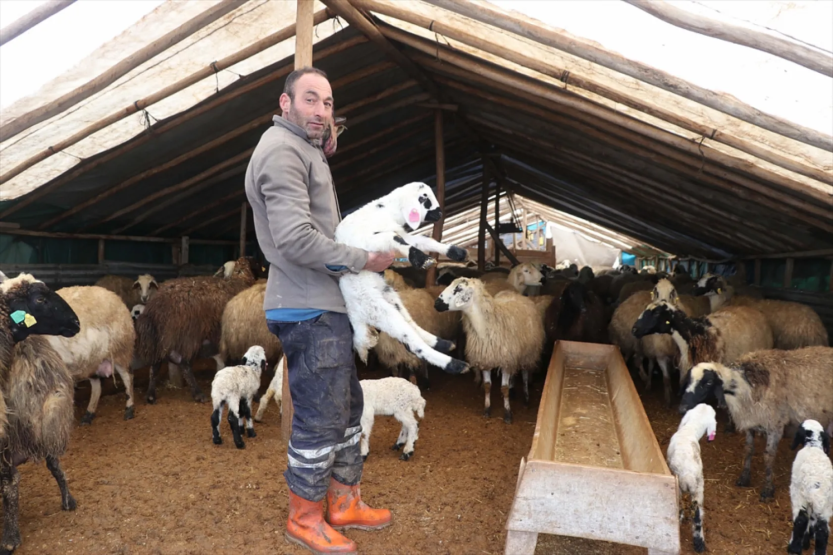 Elazığ'da arıcı ve besiciler devlet desteğiyle nefes aldı