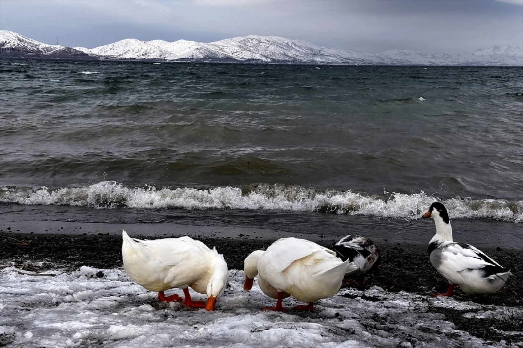 Karla kaplı 'Hazar Gölü' ziyaretçilerini ağırlıyor