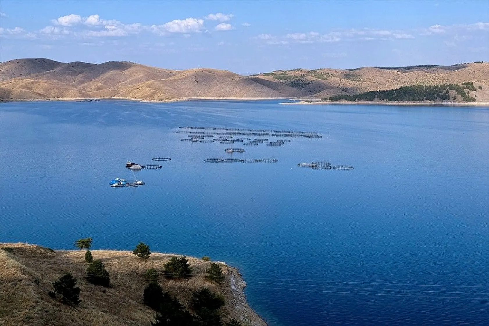 'Keban Barajı' 50 yıldır tarıma ve su ürünlerine katkı sunuyor