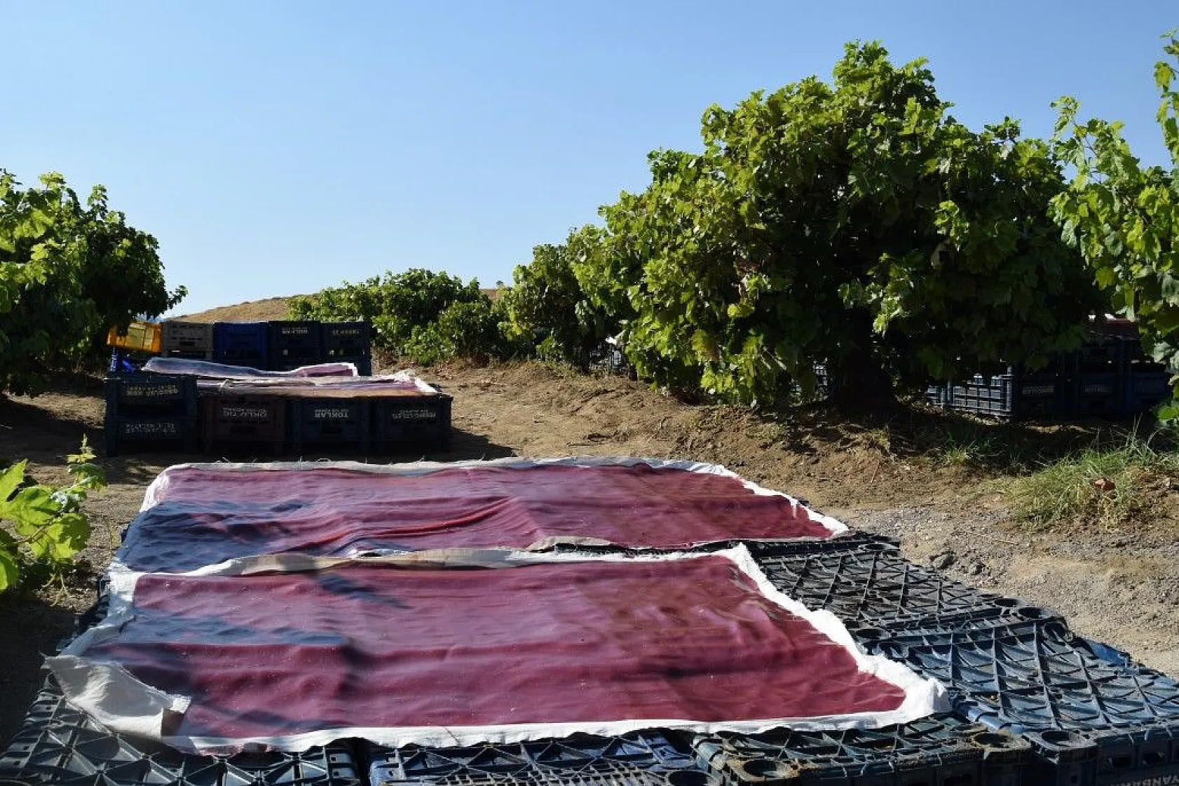 Elazığ'da kazanlar kaynamaya başladı