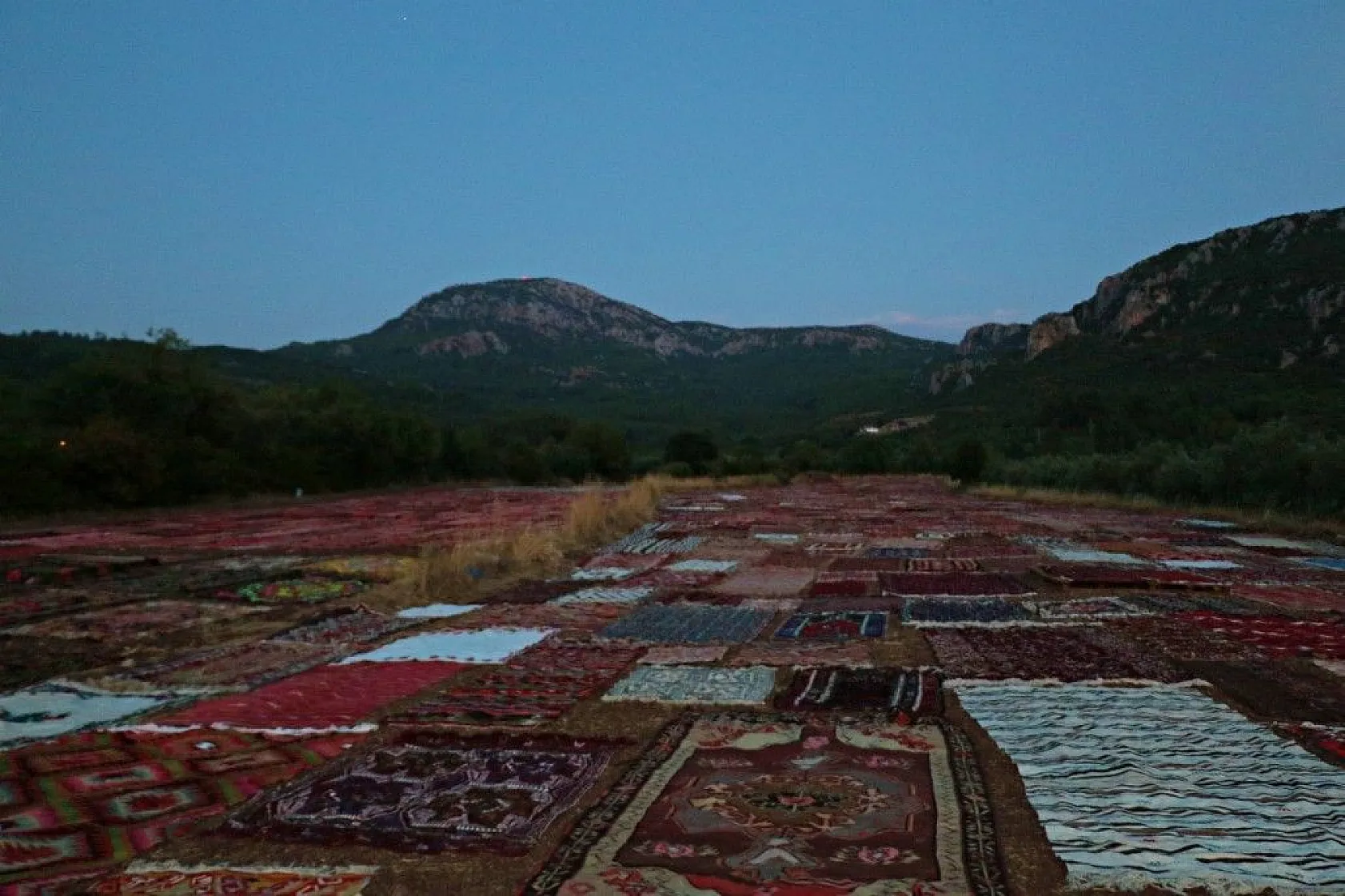 Tarlada milyonluk nöbet!