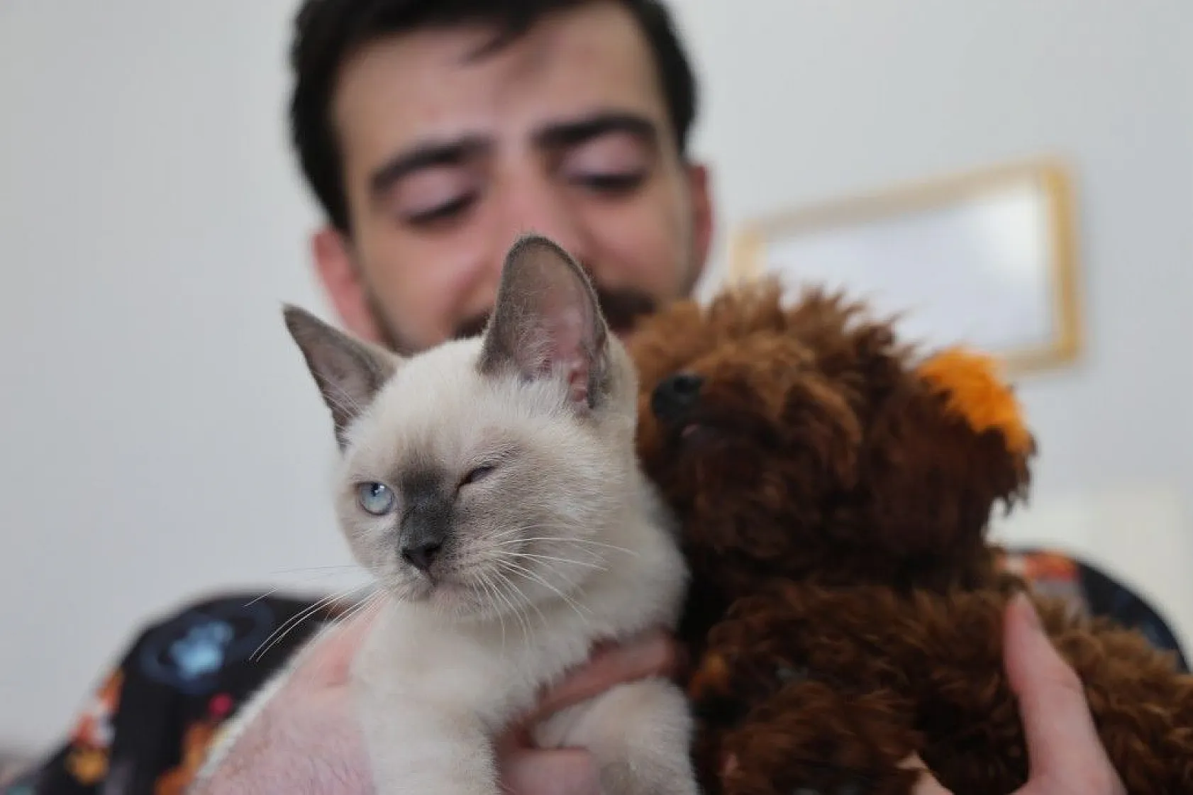 Köpek ve kedi arasında sımsıcak bağ