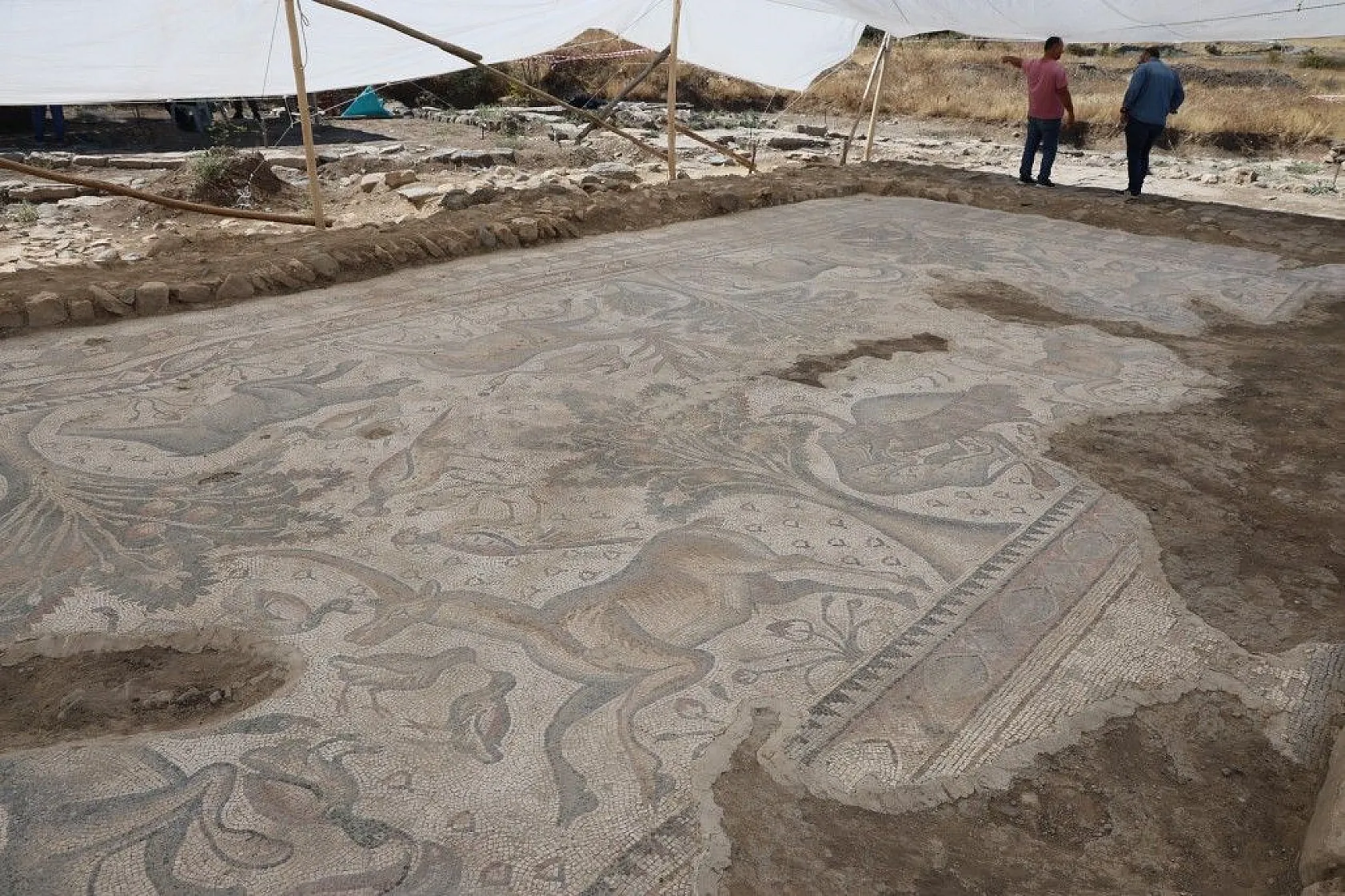 Türkiye'de bir ilk! Tek parça halinde çıkarıldı