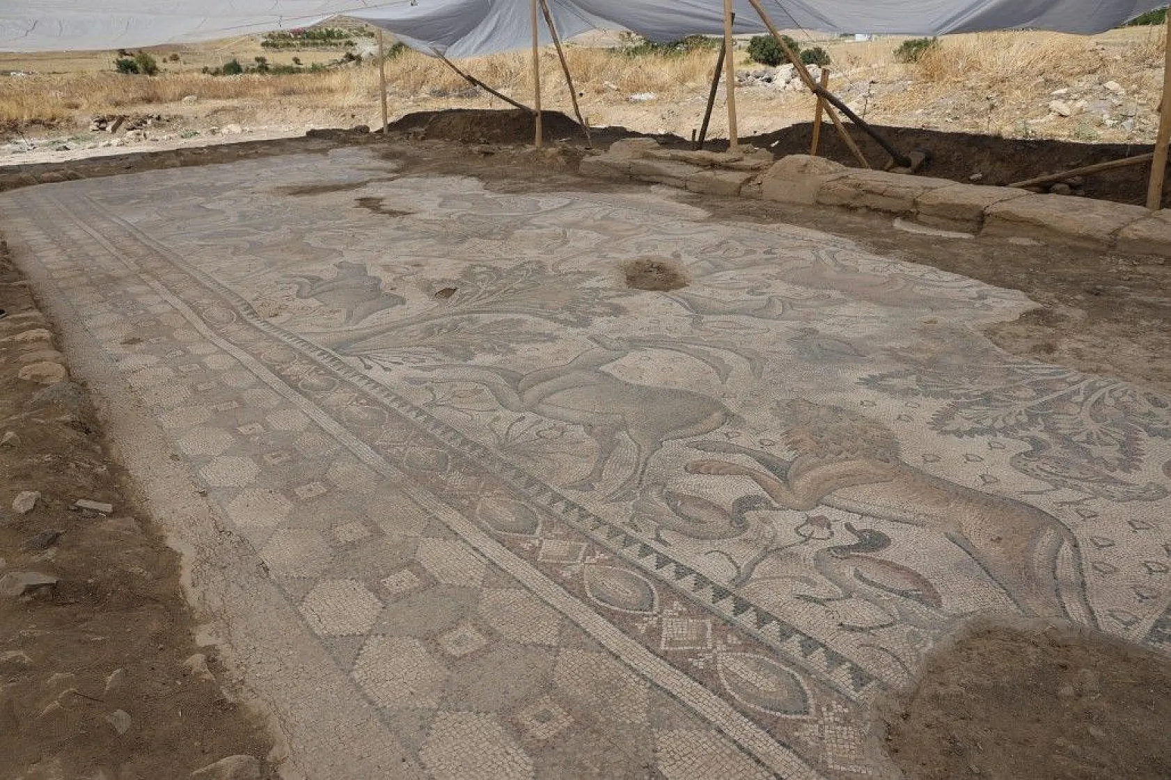 Türkiye'de bir ilk! Tek parça halinde çıkarıldı