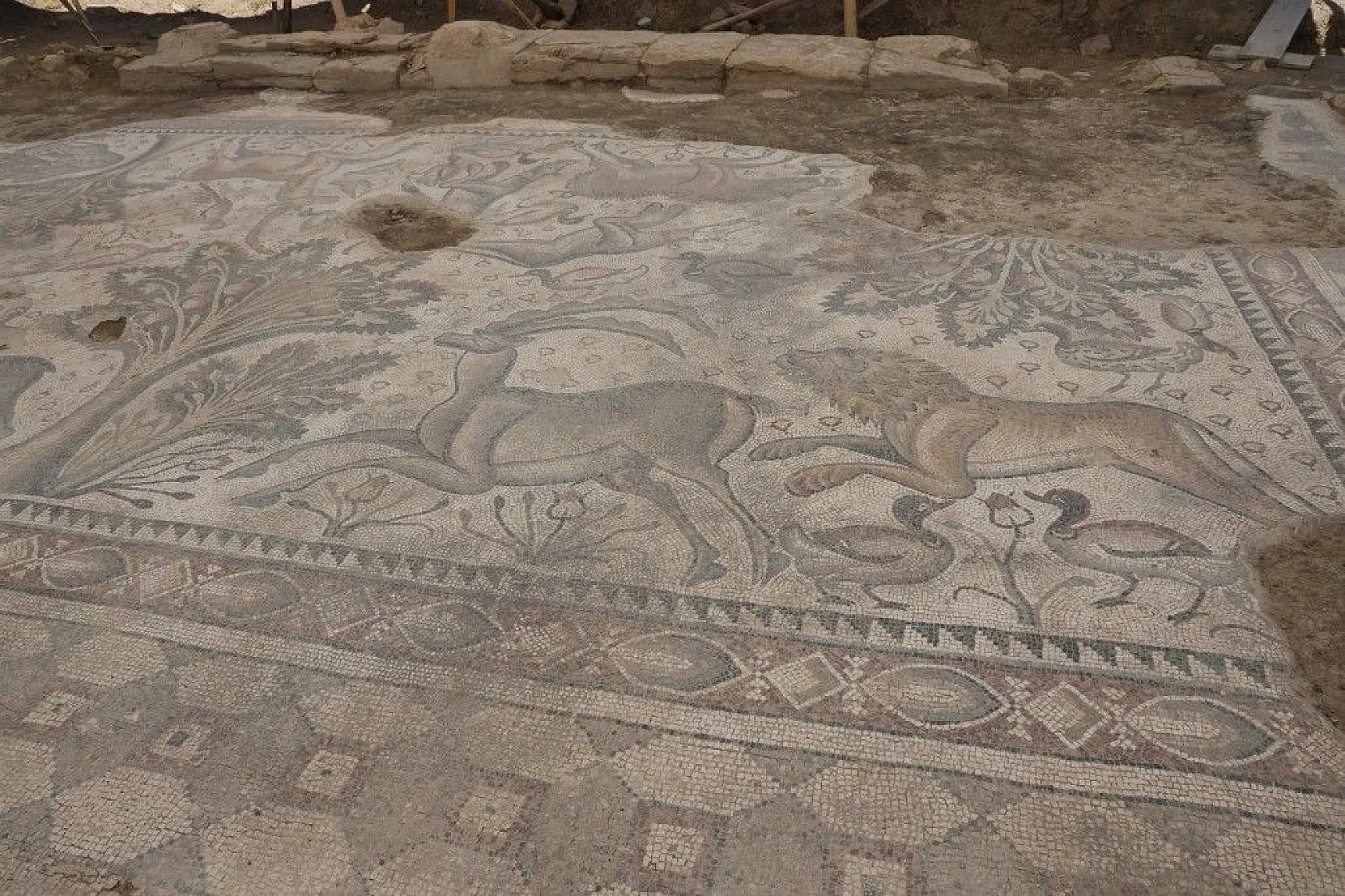 Türkiye'de bir ilk! Tek parça halinde çıkarıldı