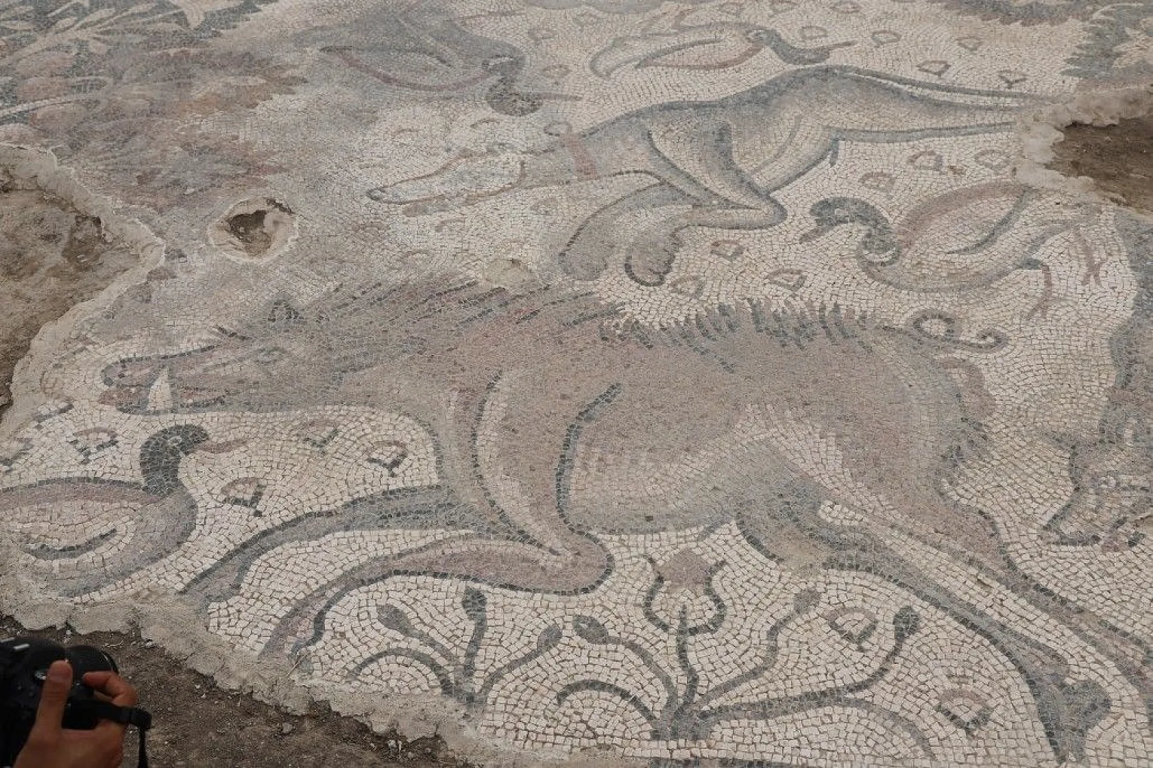 Türkiye'de bir ilk! Tek parça halinde çıkarıldı