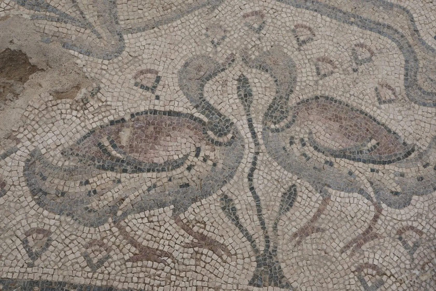 Türkiye'de bir ilk! Tek parça halinde çıkarıldı