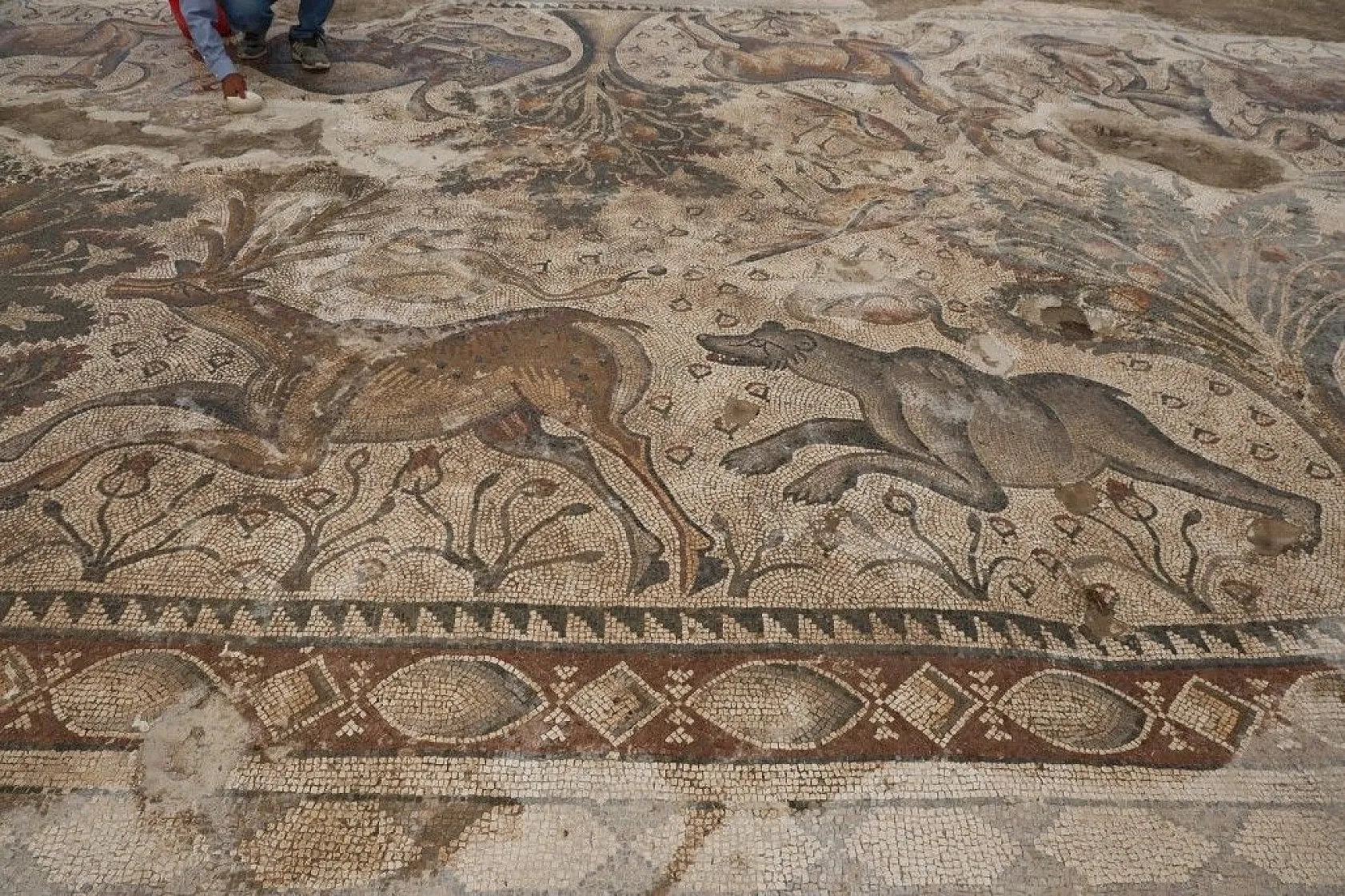 Türkiye'de bir ilk! Tek parça halinde çıkarıldı