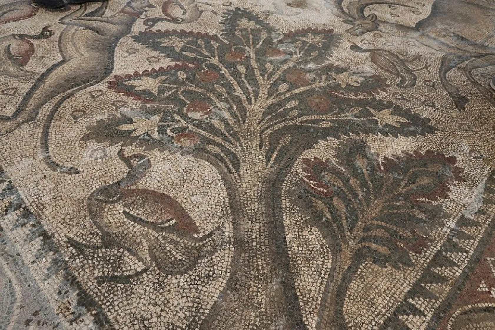 Türkiye'de bir ilk! Tek parça halinde çıkarıldı