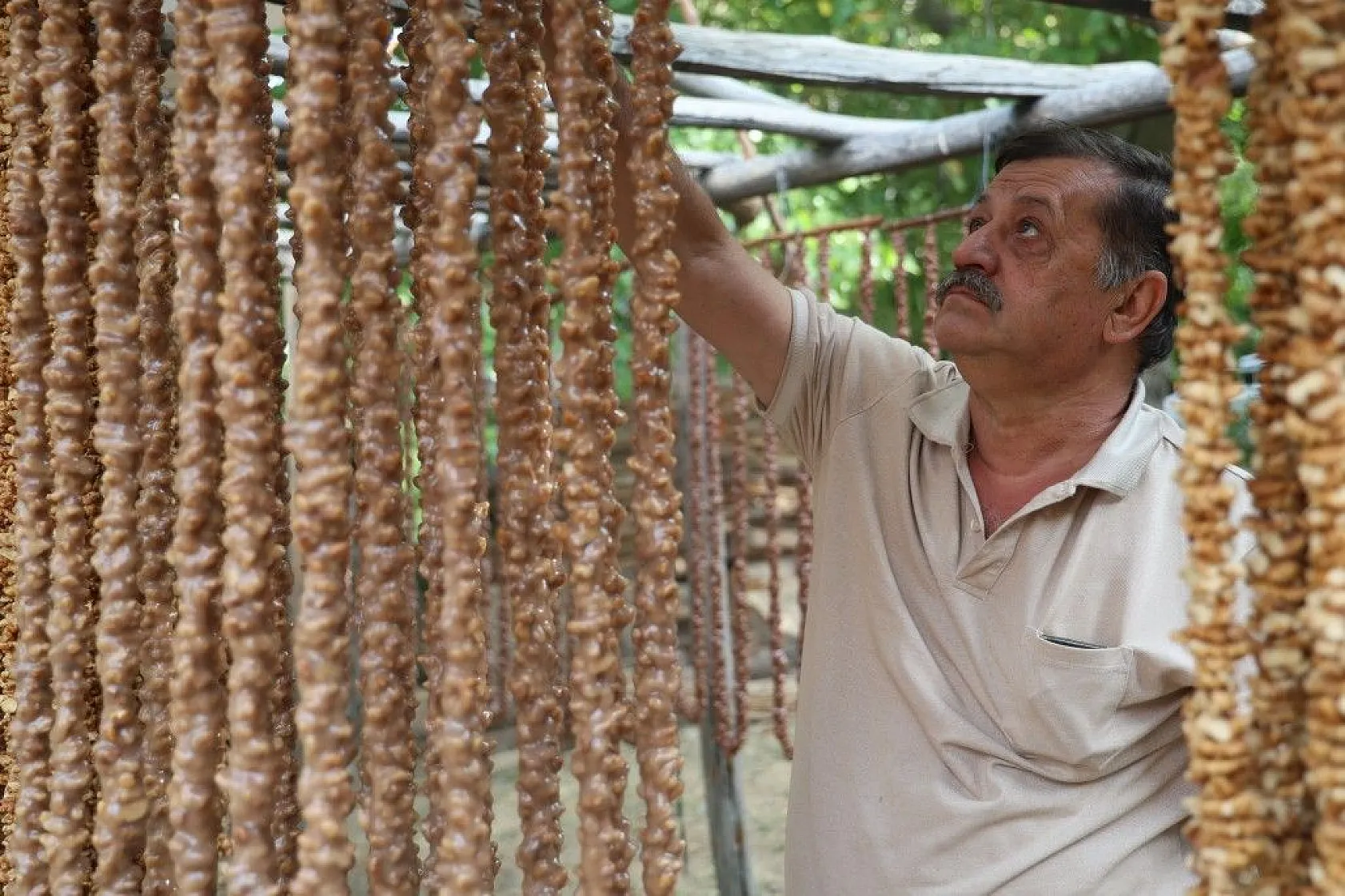 Elazığ'da 'Orcik' mesaisi başladı
