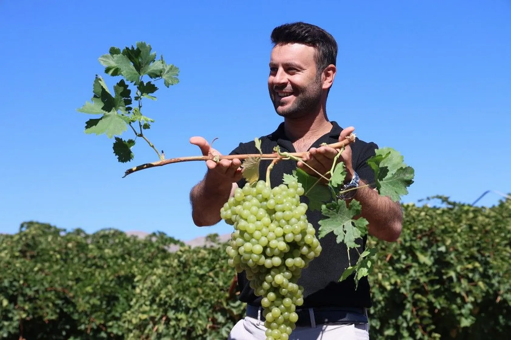 Mühendislikten çiftçiliğe