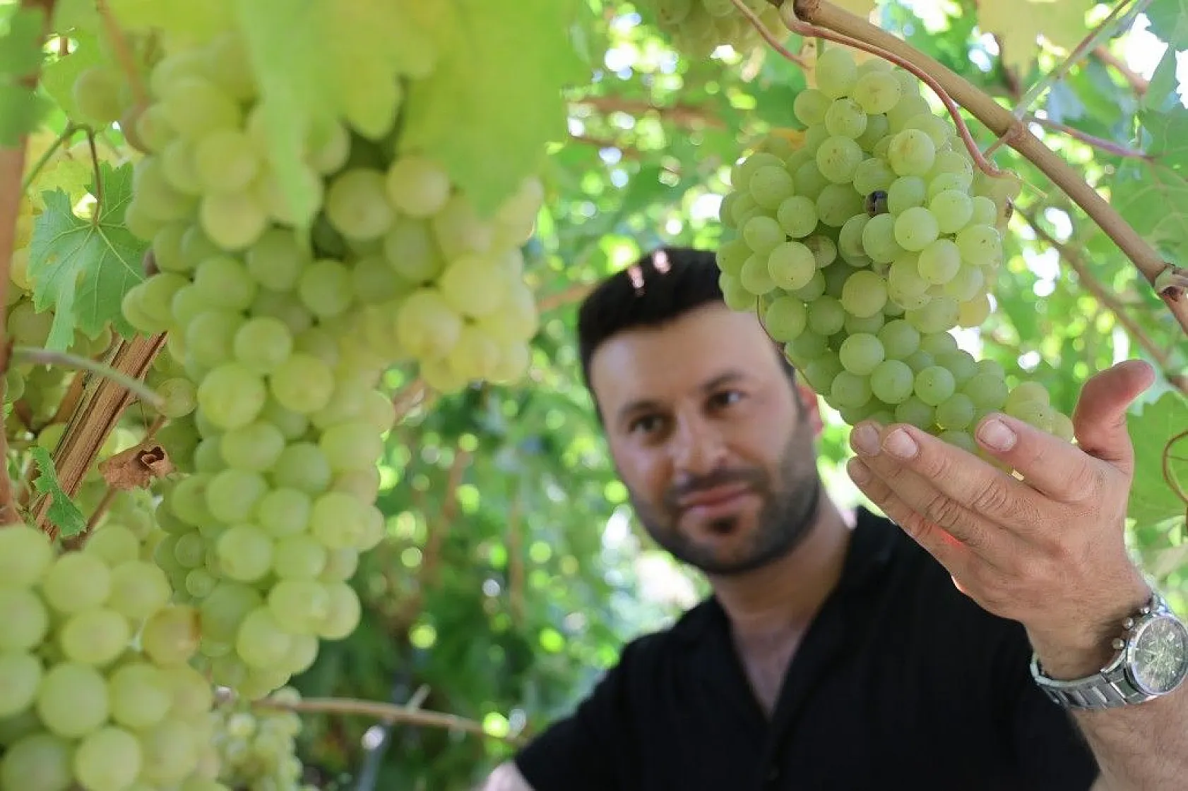 Mühendislikten çiftçiliğe