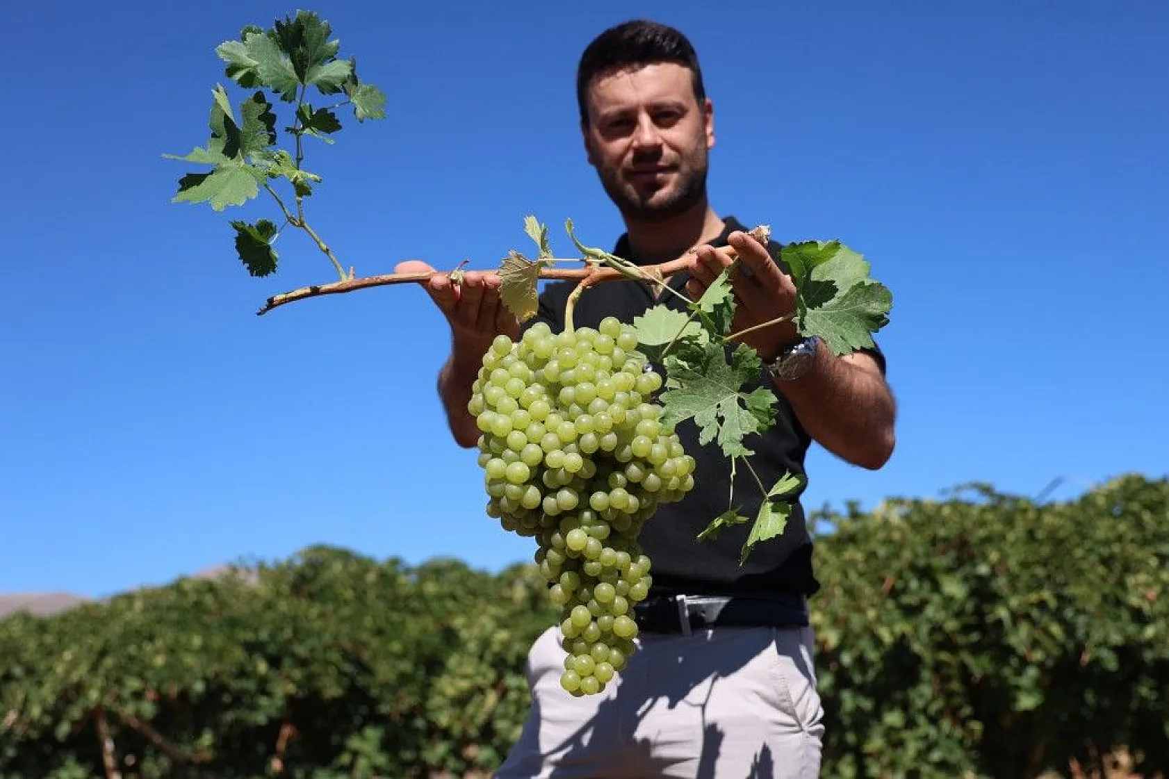 Mühendislikten çiftçiliğe