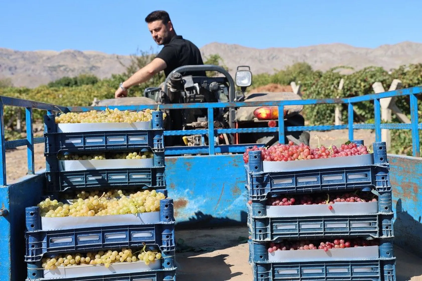 Mühendislikten çiftçiliğe