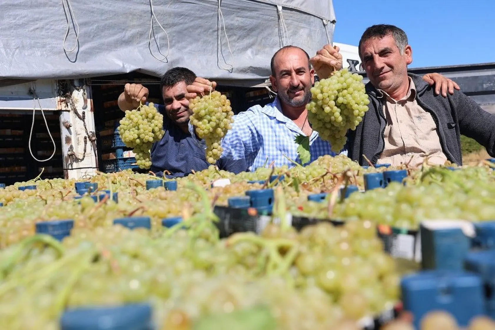 Mühendislikten çiftçiliğe