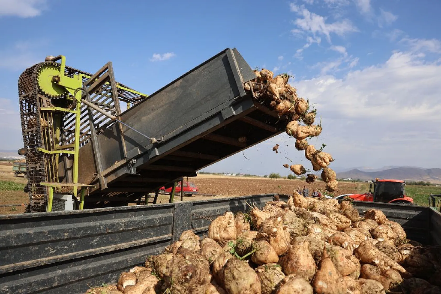 Elazığ'da pancar hasadı başladı
