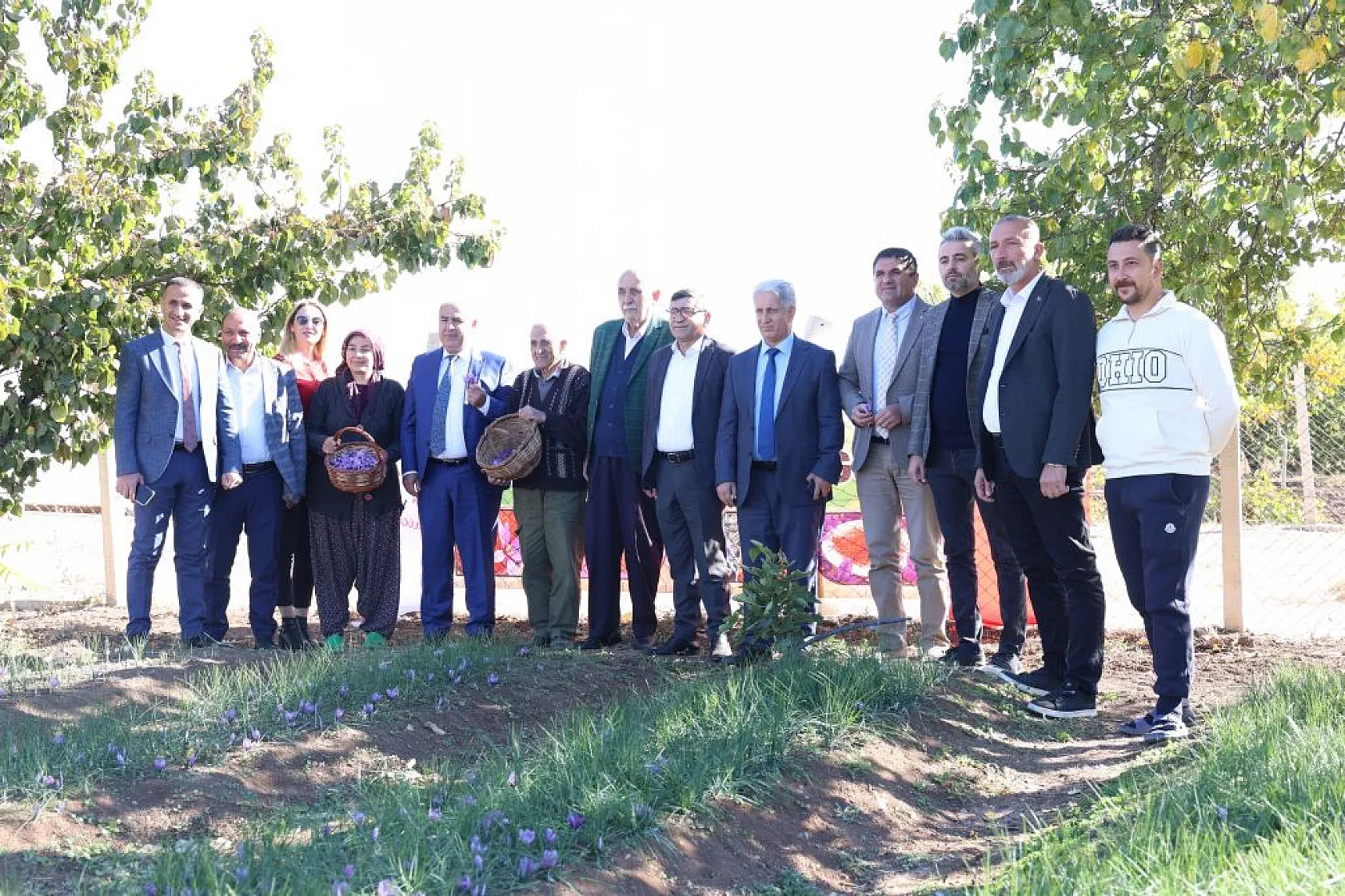 Elazığ'da 'safran hasadı' başladı