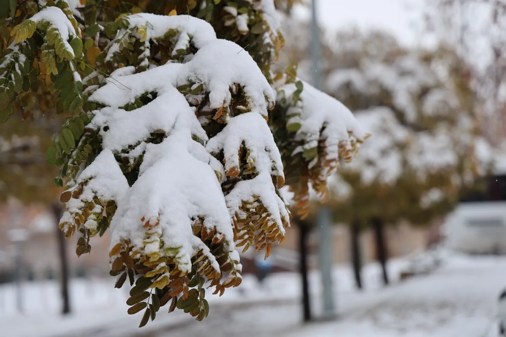 Elazığ beyaza büründü
