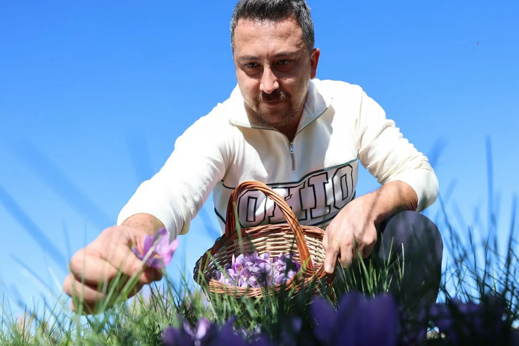 Elazığ'da 'kırmızı altın' safran ekonomiye can veriyor