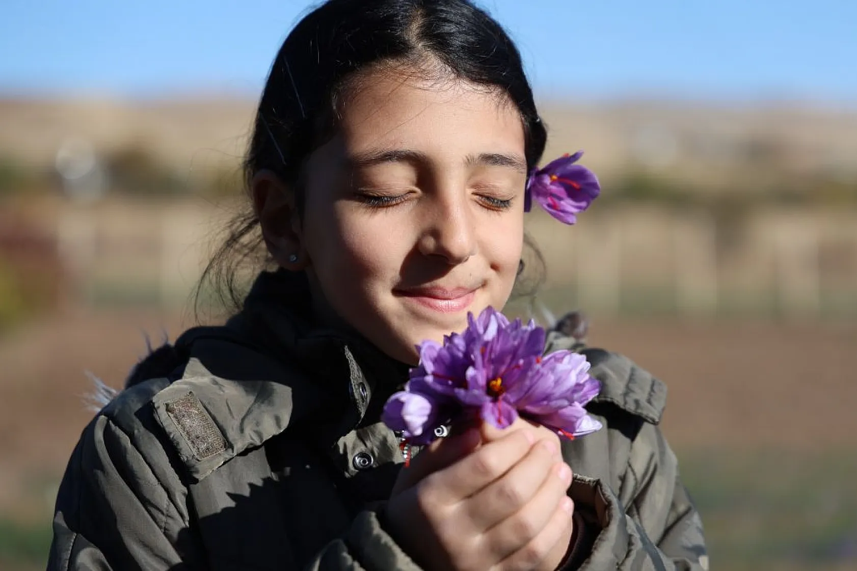 Elazığ'da 'kırmızı altın' safran ekonomiye can veriyor