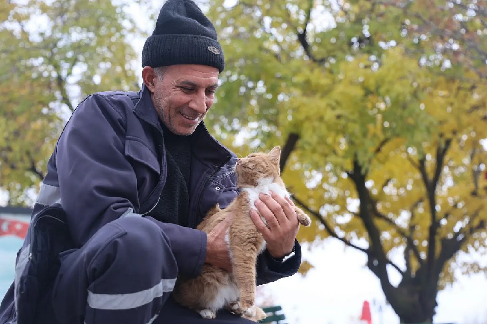 Harput'un sokakları kedilerle şenlendi