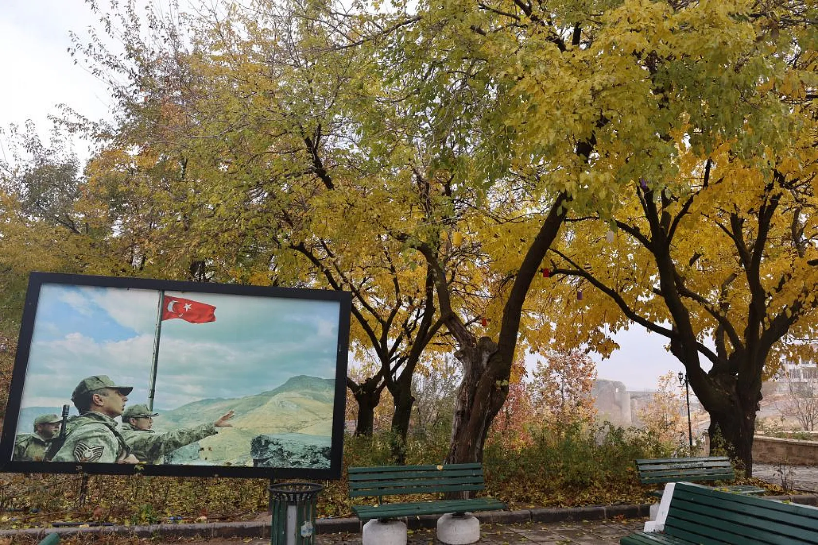 Harput'un sokakları kedilerle şenlendi