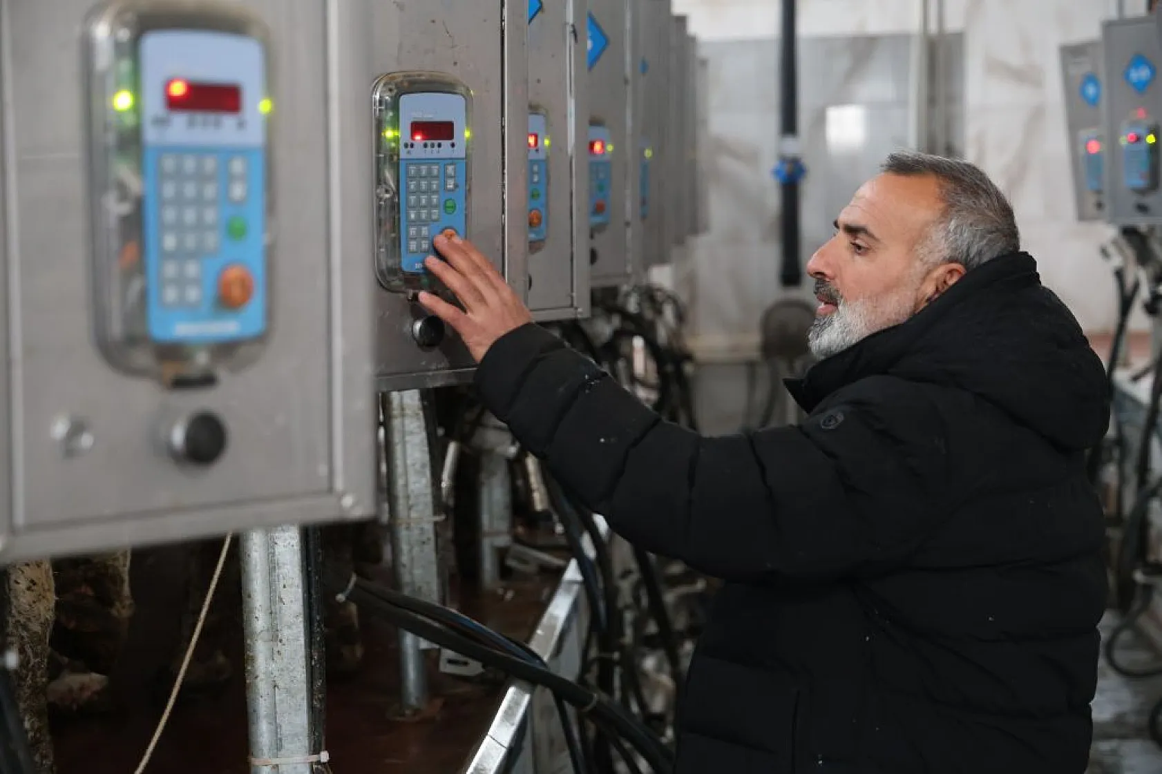 Almanya'dan köyüne döndü, devlet desteğiyle çiftlik kurdu