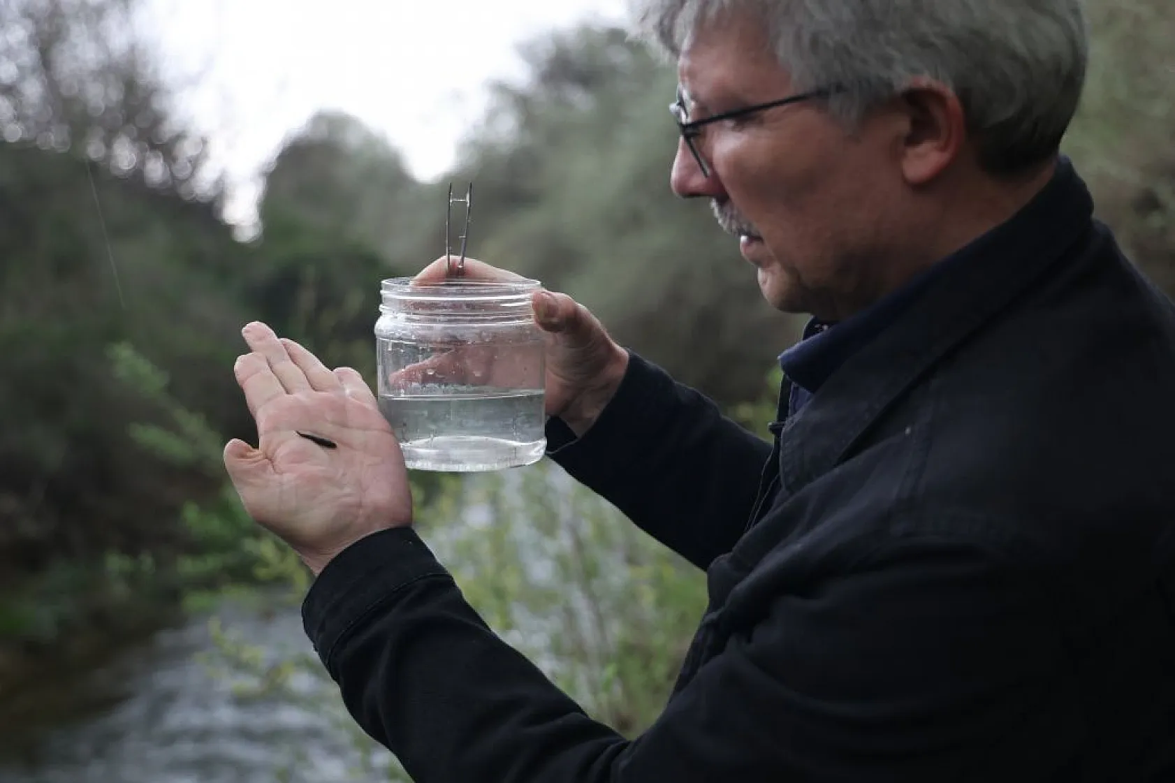 Sivrice ve Maden'den dünyaya yeni türler