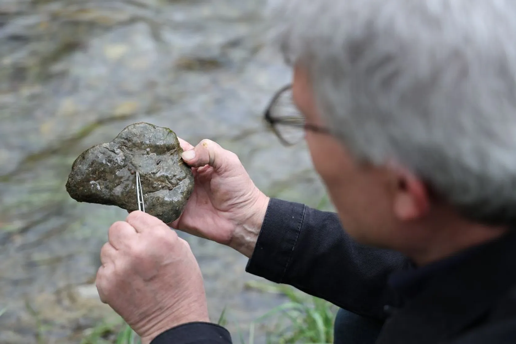 Sivrice ve Maden'den dünyaya yeni türler