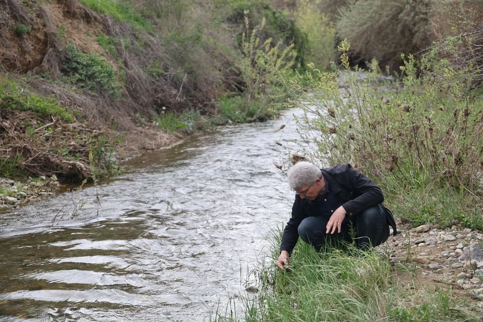 Sivrice ve Maden'den dünyaya yeni türler