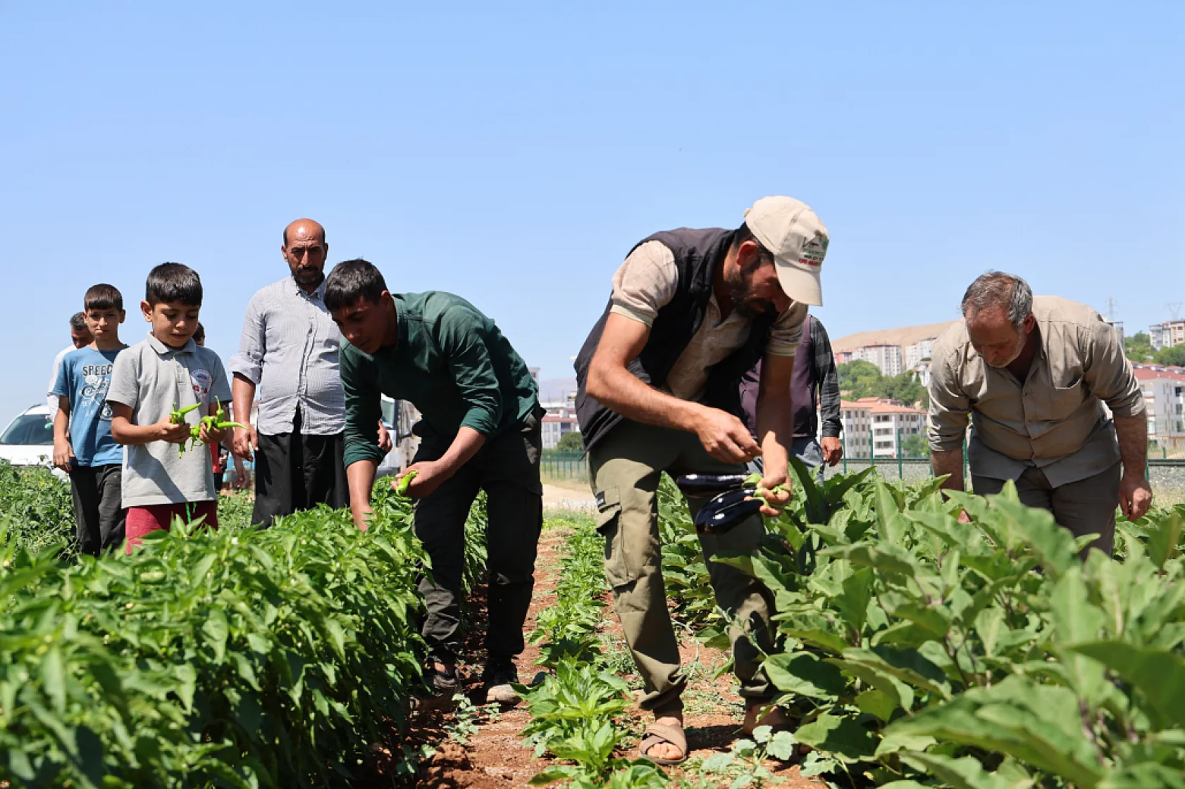 Elazığ'da sebze yarı fiyatına