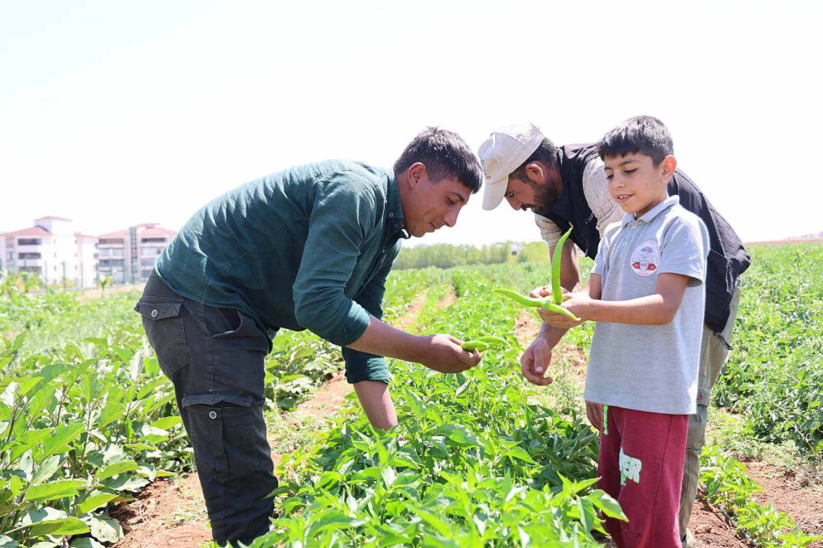 Elazığ'da sebze yarı fiyatına