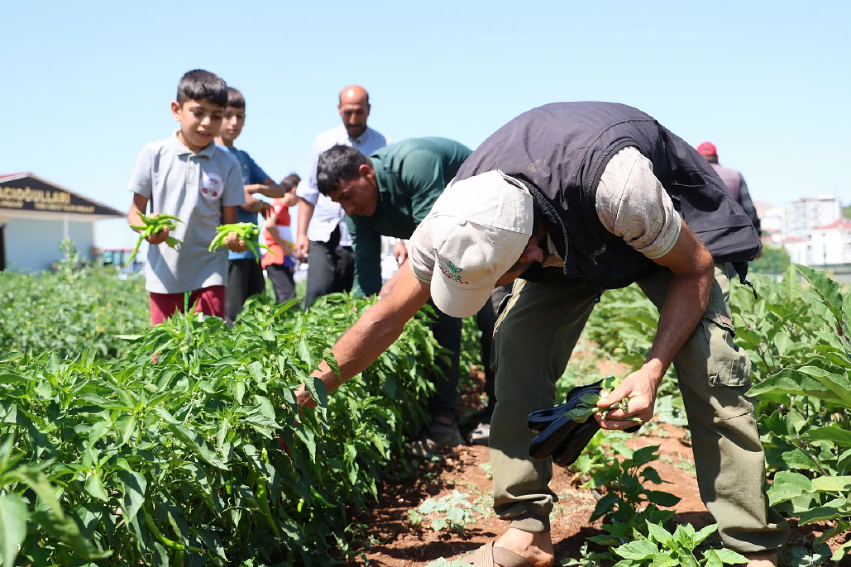 Elazığ'da sebze yarı fiyatına