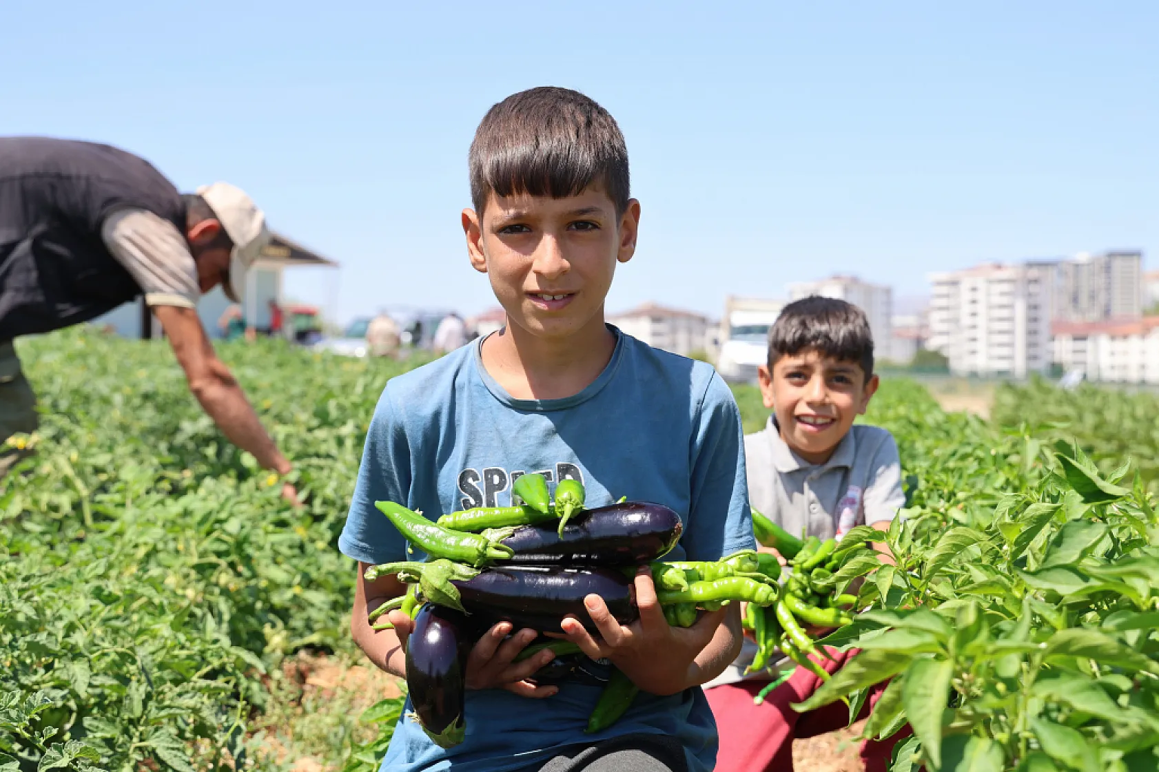 Elazığ'da sebze yarı fiyatına