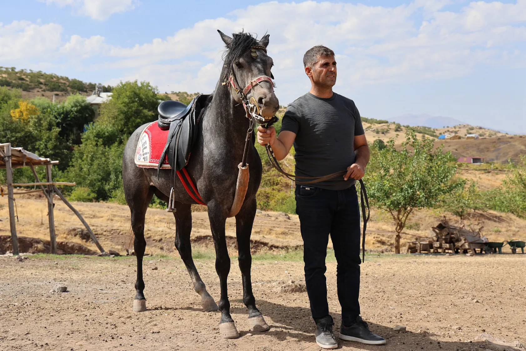 Osmanlı'nın unutulan atları Elazığ'da yeniden yetiştiriliyor