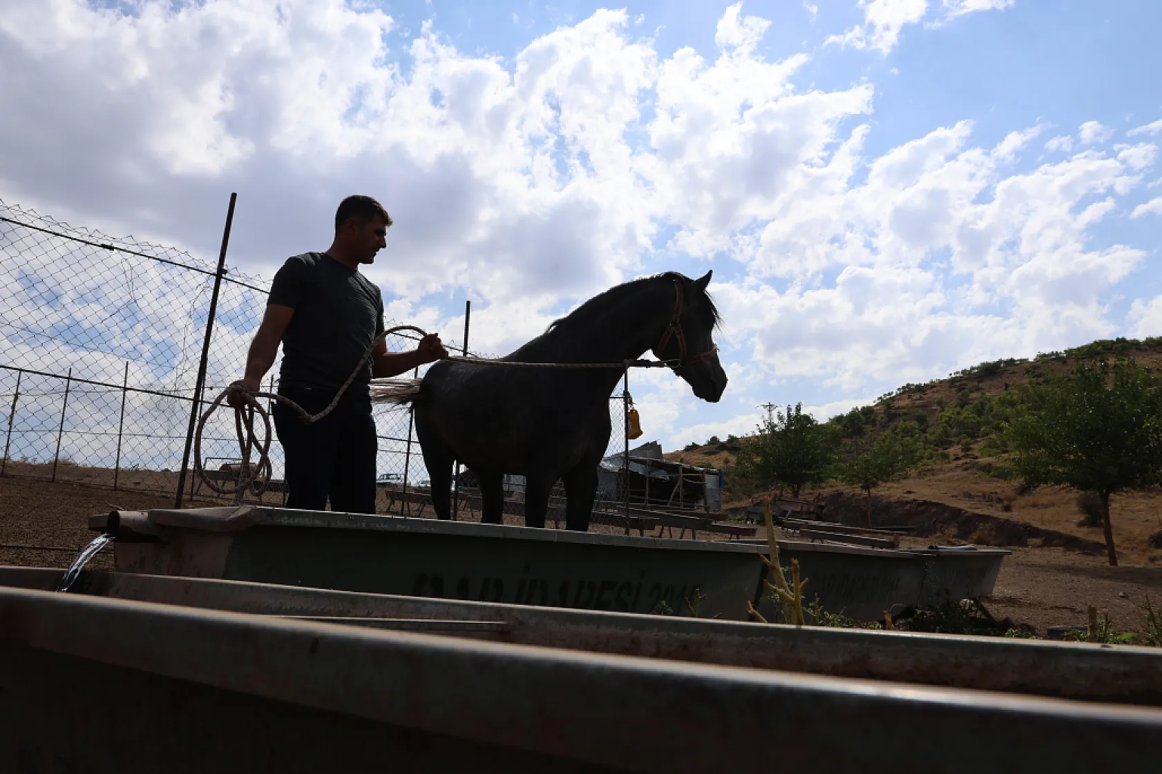 Osmanlı'nın unutulan atları Elazığ'da yeniden yetiştiriliyor